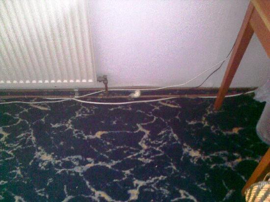 Zum Roessle Hotel Gasthof主图