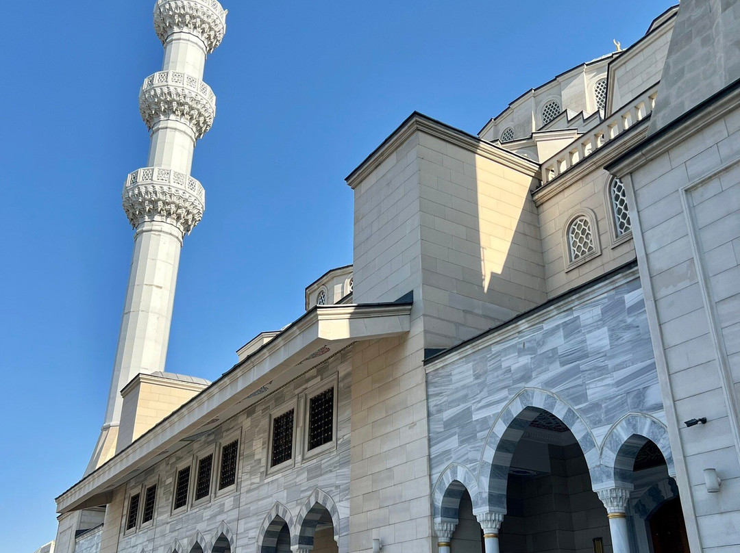 Central Mosque景点图片