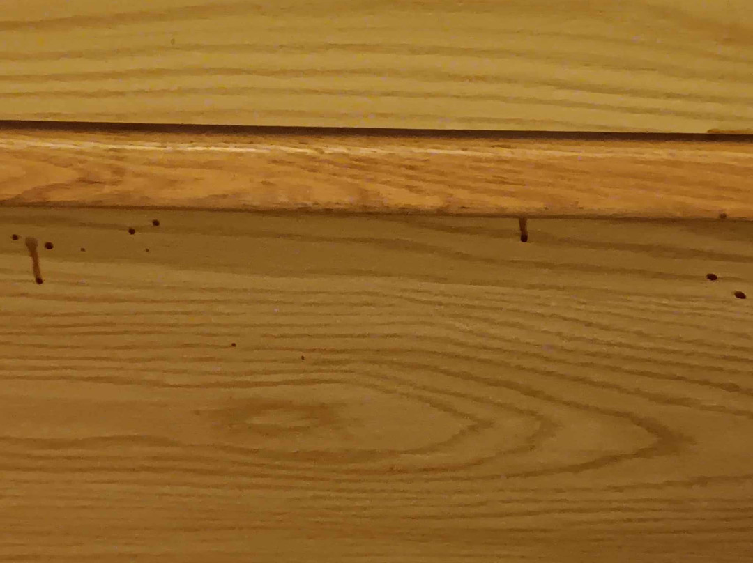 Super 8 by Wyndham Huntington主图