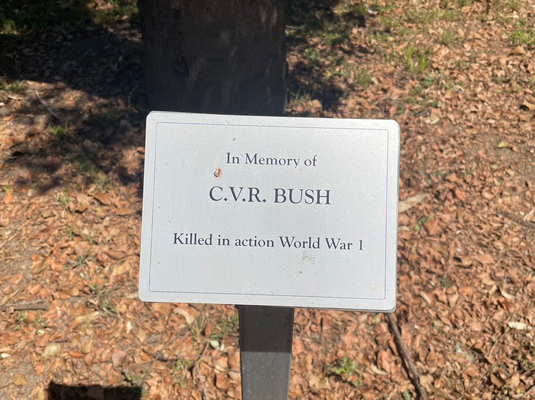 Anzac Grove War Memorial-刚达盖必去景点