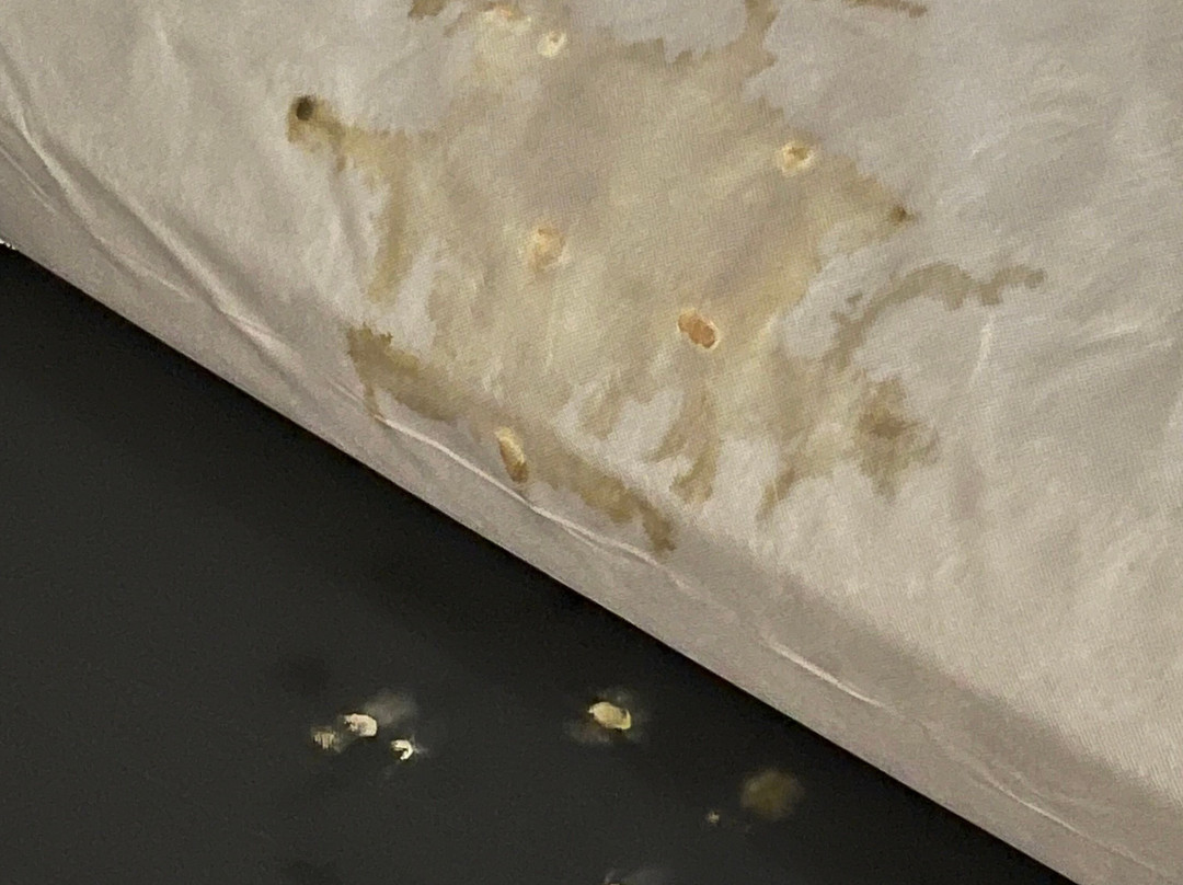 Hampton Inn Stafford/quantico & Conference Center主图