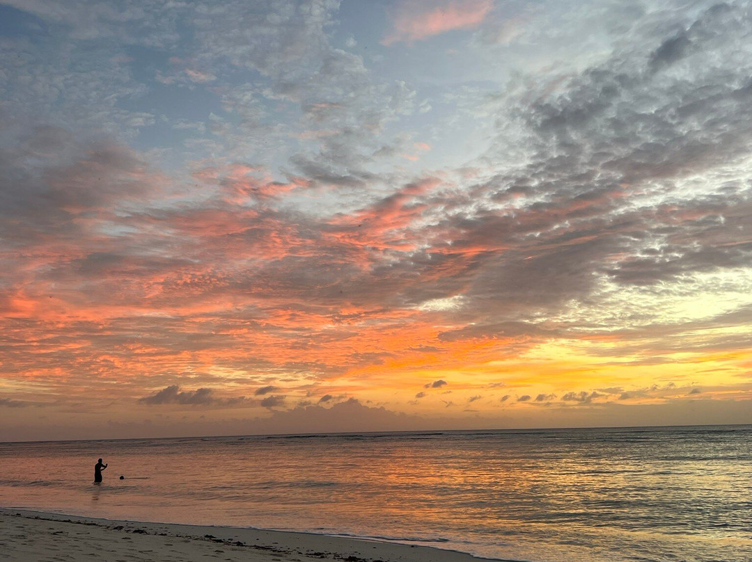 Anse La Reunion Beach景点图片