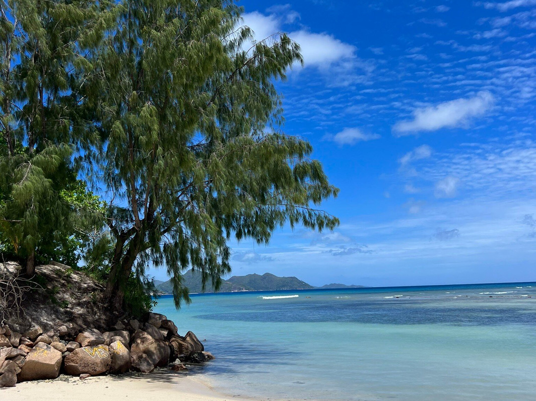 Anse La Reunion Beach景点图片