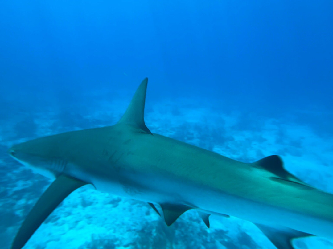 Orange Hill Beach Inn主图