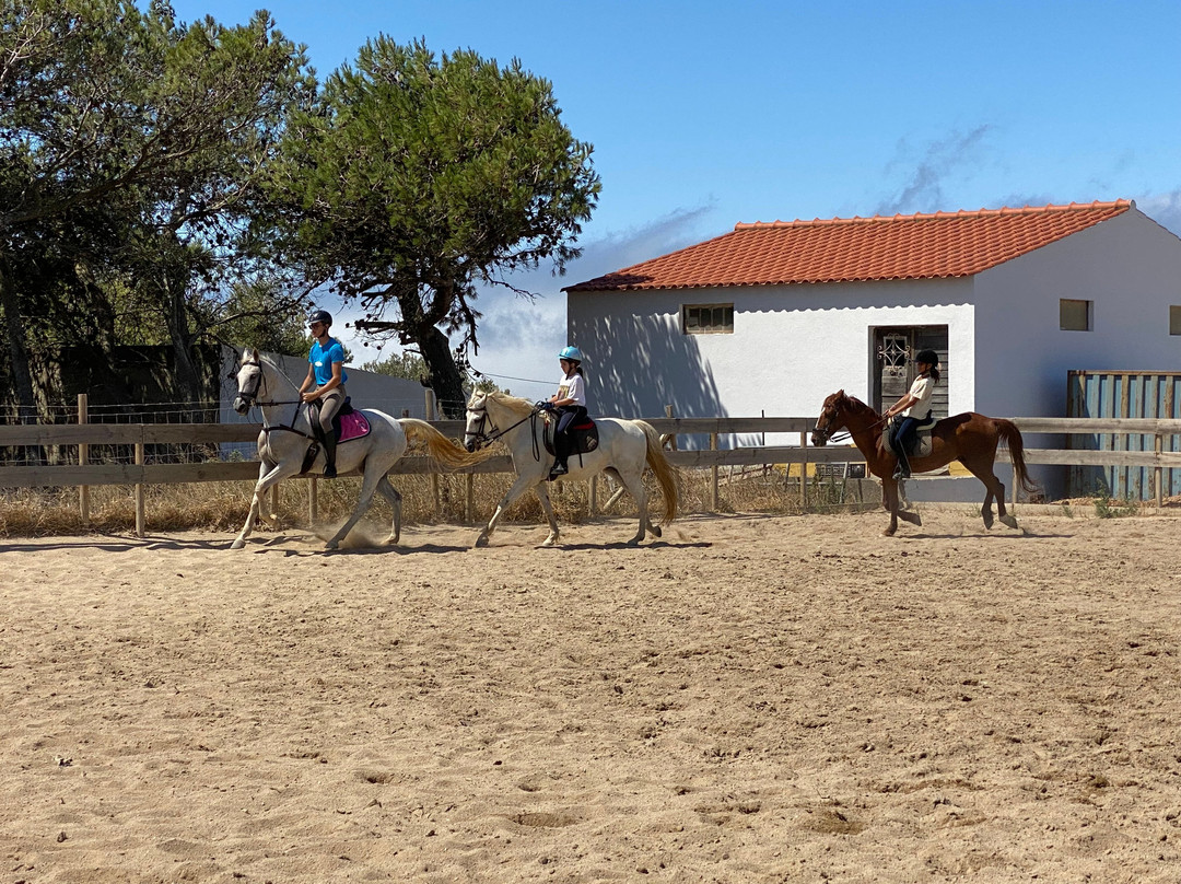 Equi Cascais-卡斯凯什必去景点