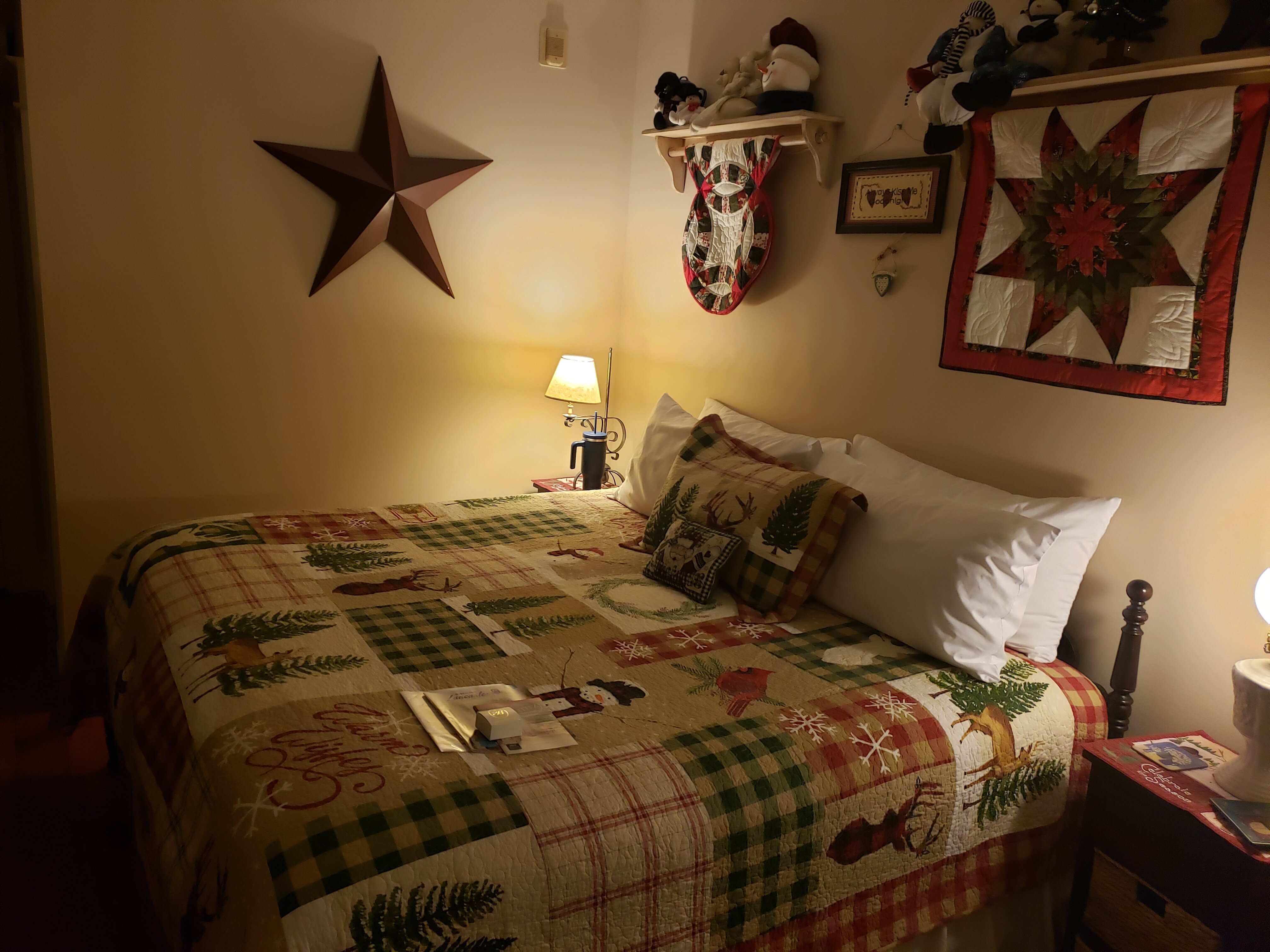 EJ Bowman House Bed and Breakfast-客卧