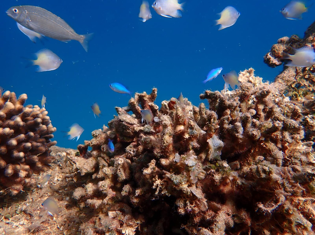 KIRA-Boot-赫尔格达必去景点