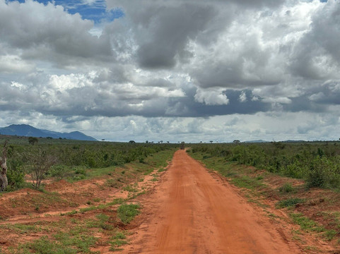 Natural World Kenya Safaris - Diani-迪亚尼必去景点