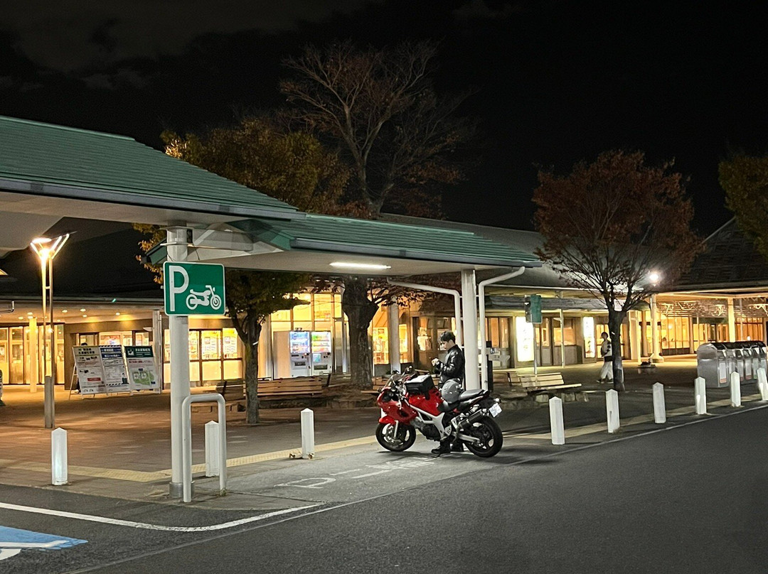 Wangan Nagashima Parking Area Outbounds-桑名市必去景点