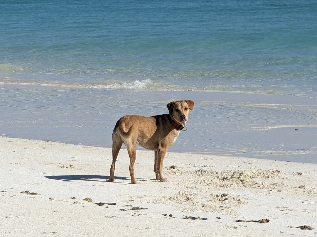 Andros Beach Club主图