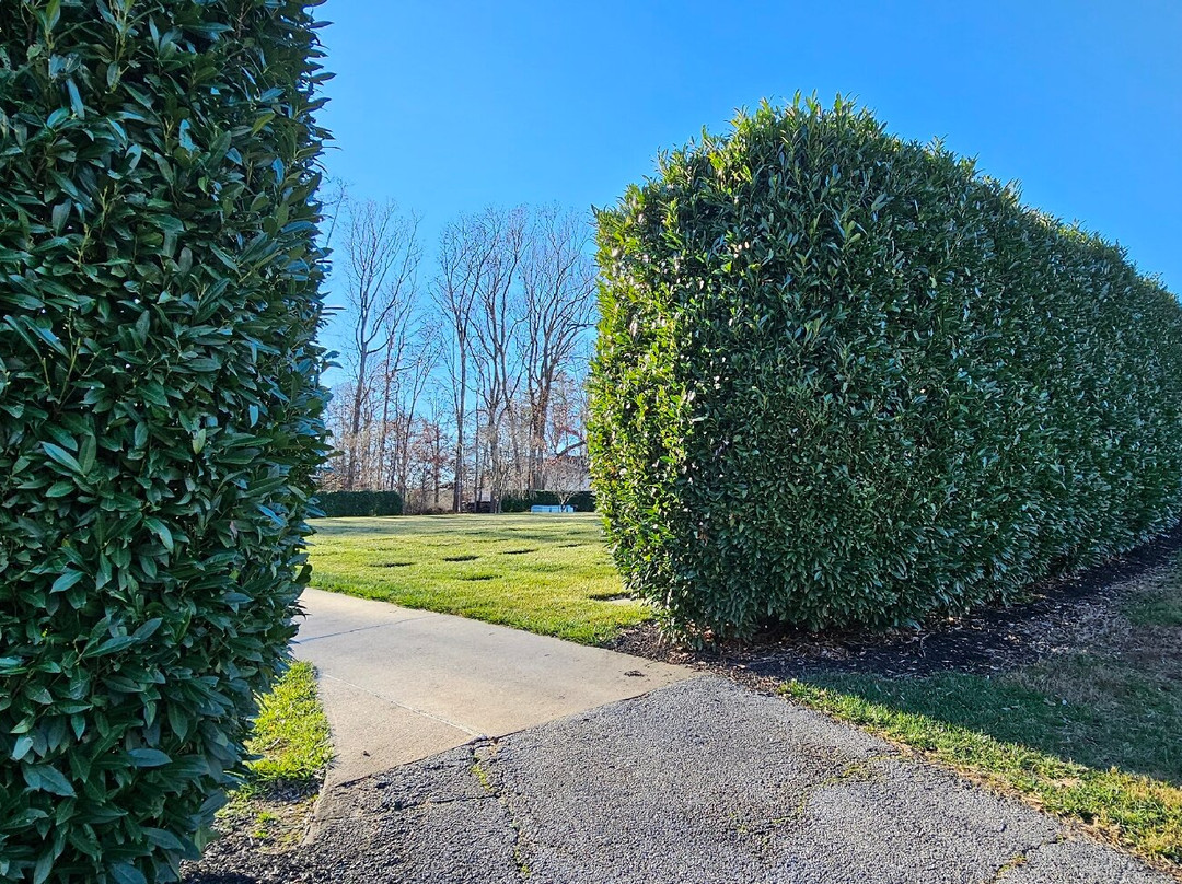 Villa Maria Cemetery