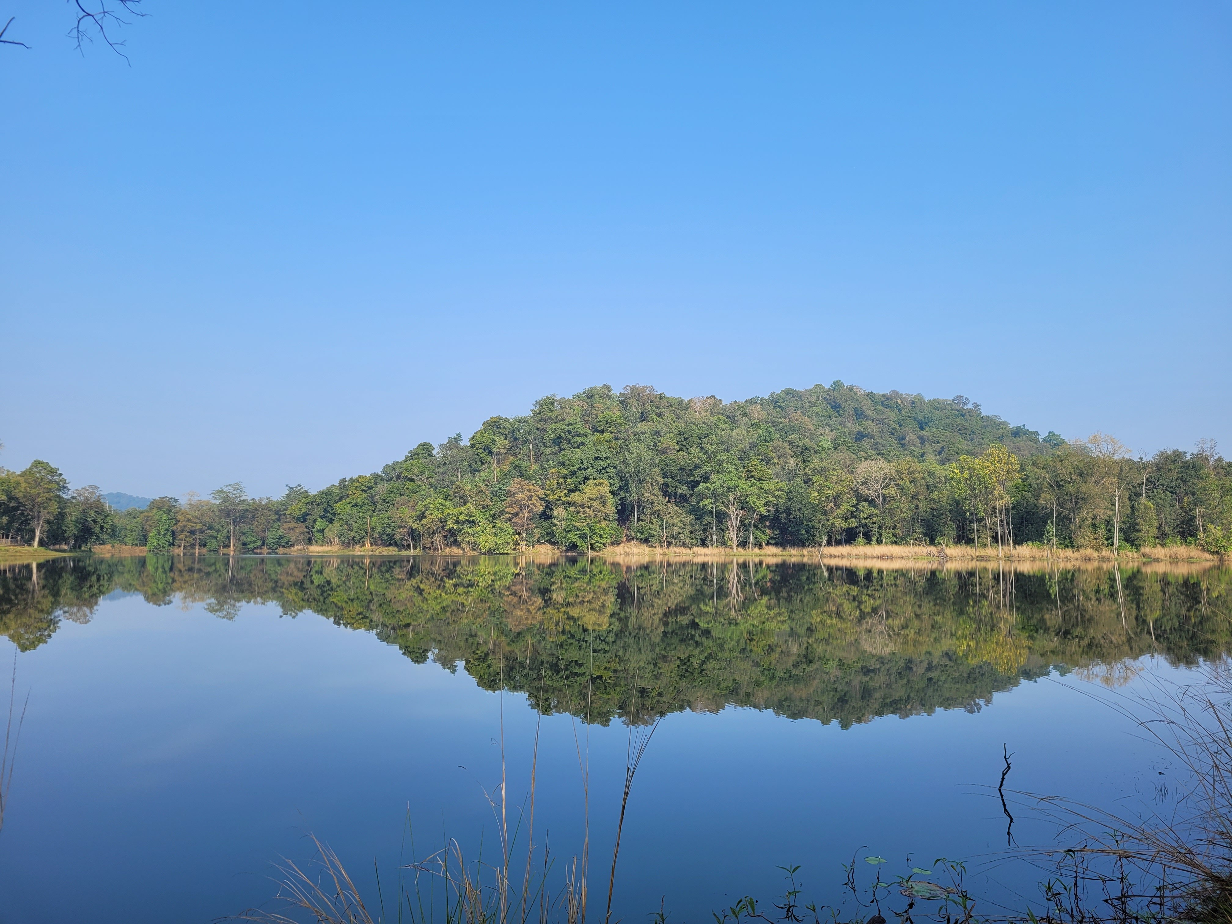 Nagzira Tiger Resort-官方