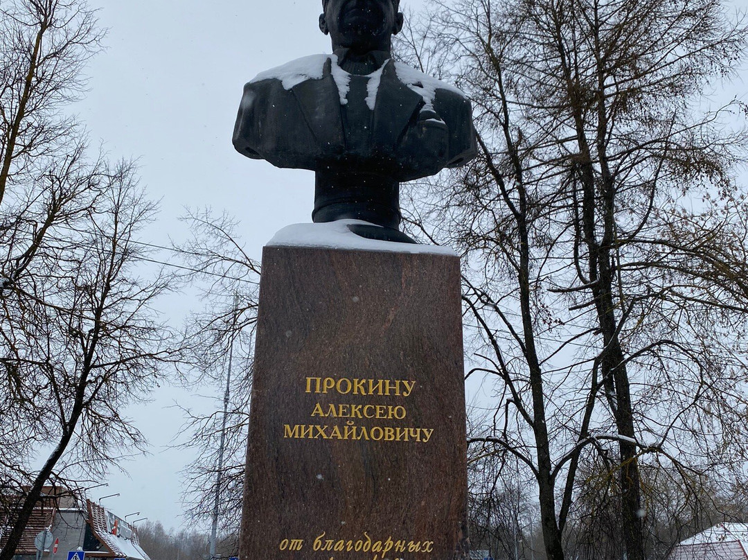 Monument to A.M. Prokin景点图片
