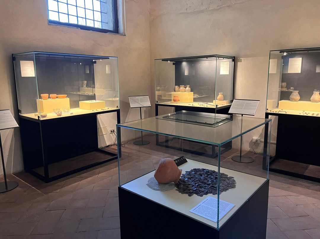 Museo Archeologico Nazionale della Lomellina景点图片