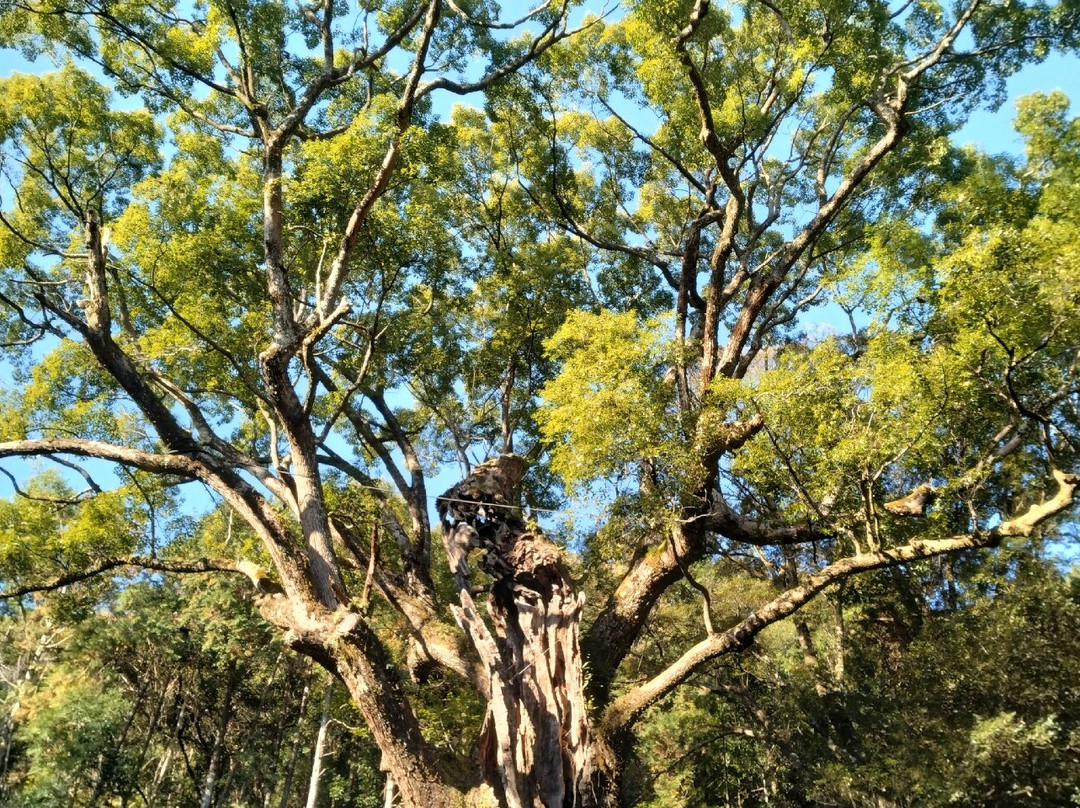 Takeo no Okusu-武雄市必去景点