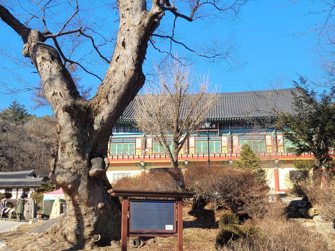 Bongseonsa Temple-南杨州市必去景点