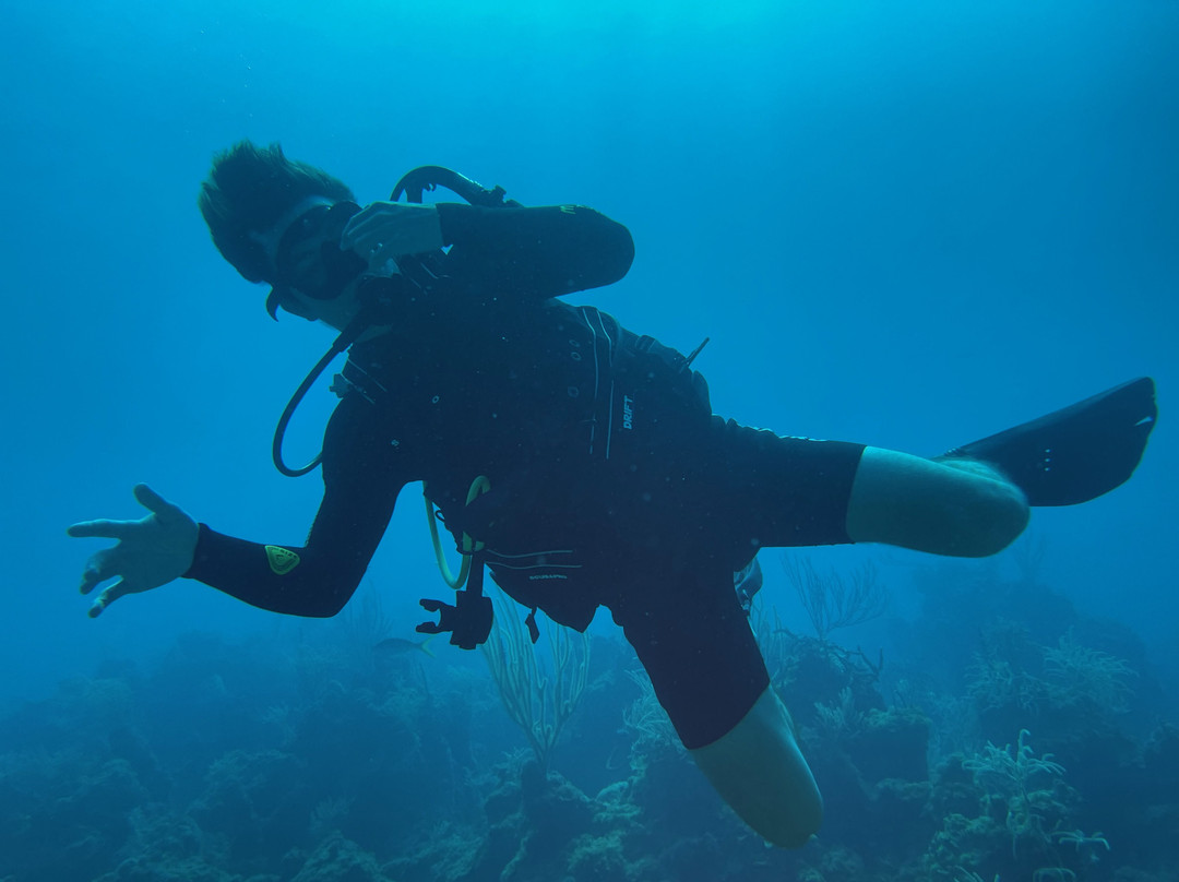 Chub Cay Divers景点图片