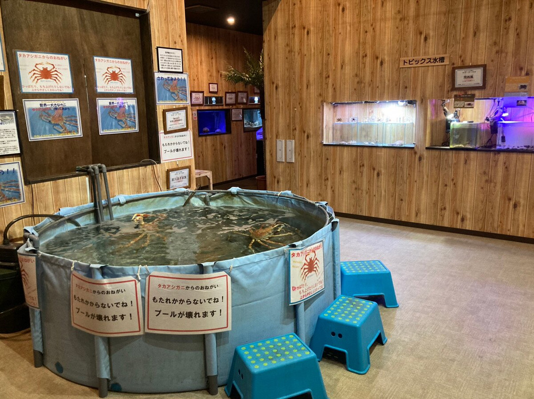 Susami Crustacean Aquarium-周参见町必去景点