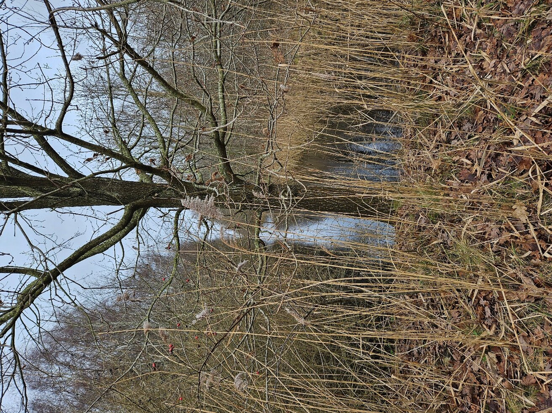 Nationaal Park Lauwersmeer-Lauwersoog必去景点