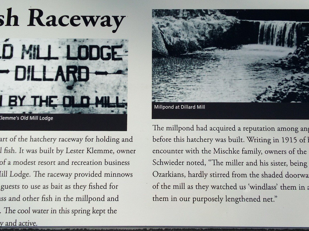 Dillard Mill State Historic Site-Davisville必去景点