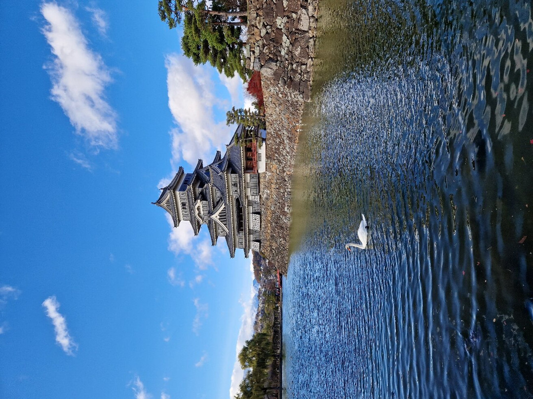 Matsumotojo Park景点图片