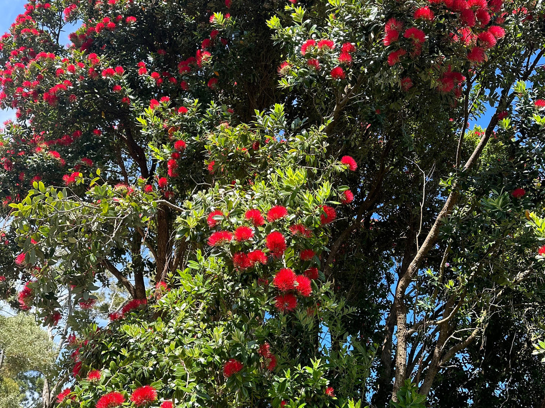 Harrison House主图