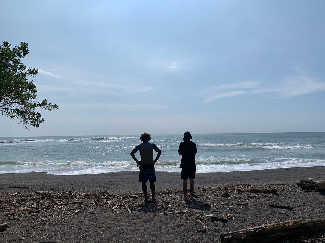 Carlos Surf School景点图片