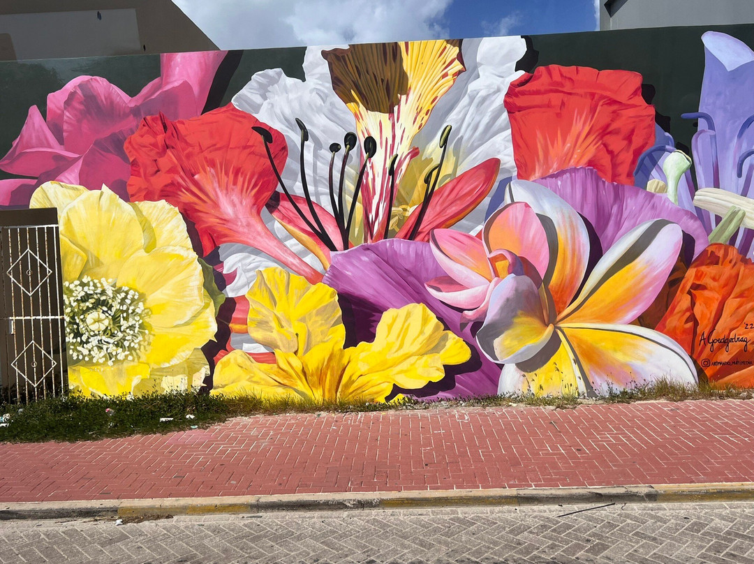 Aruba Fantasy Tours-奥腊涅斯塔德必去景点