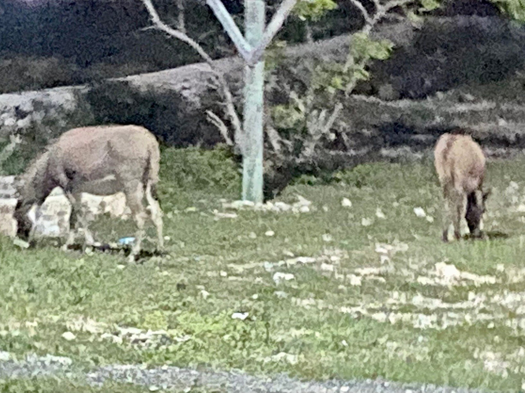 The Boiling Hole-South Caicos必去景点