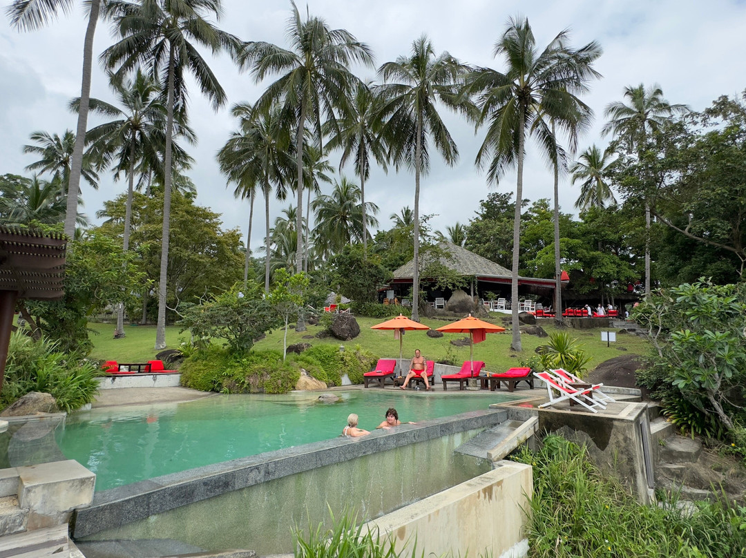 丛林俱乐部主图