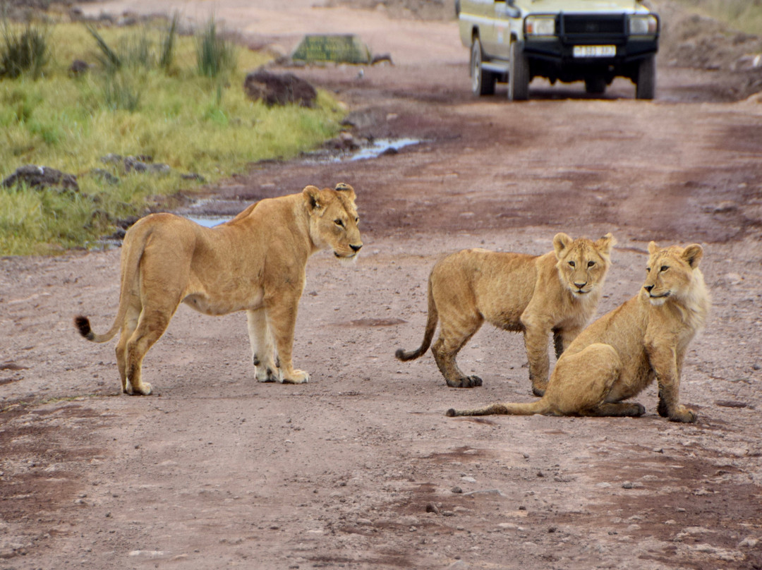 Tour with Kunta-阿鲁沙必去景点