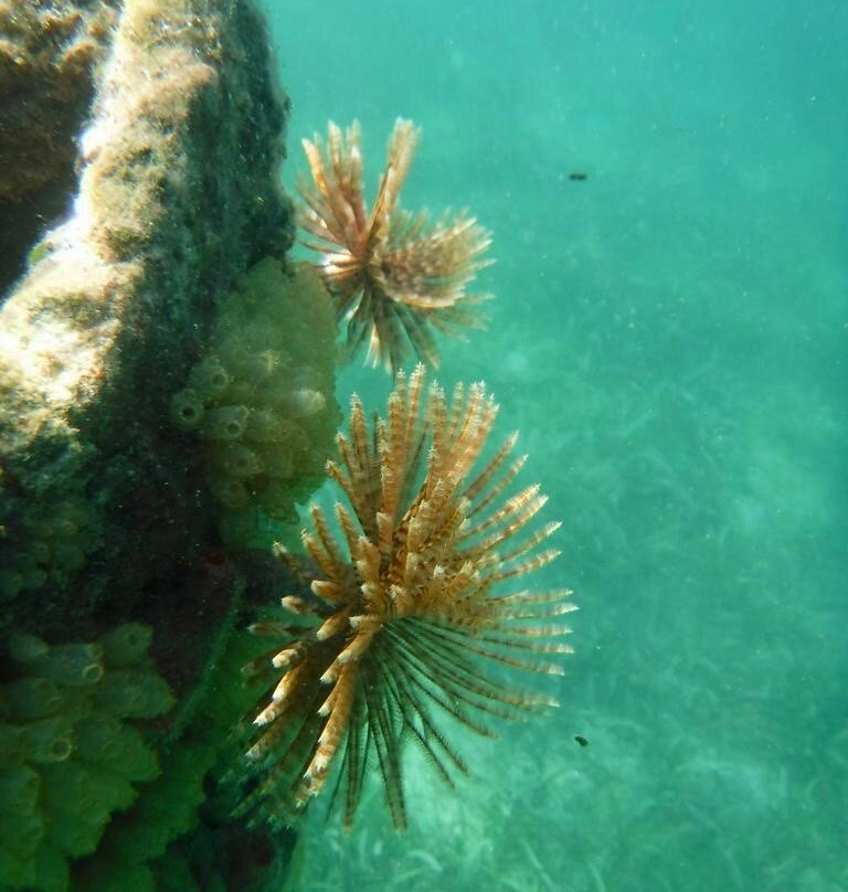 Galleon Beach-英吉利海港必去景点