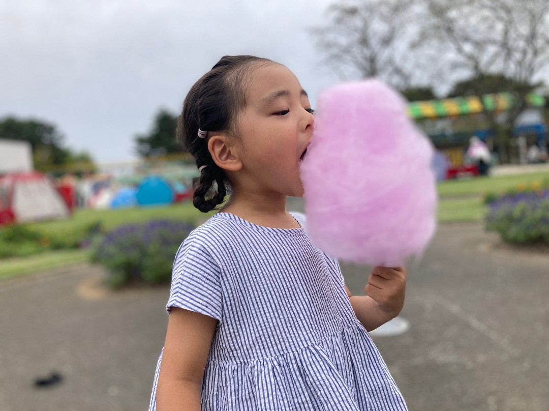 Musashinomura-加须市必去景点