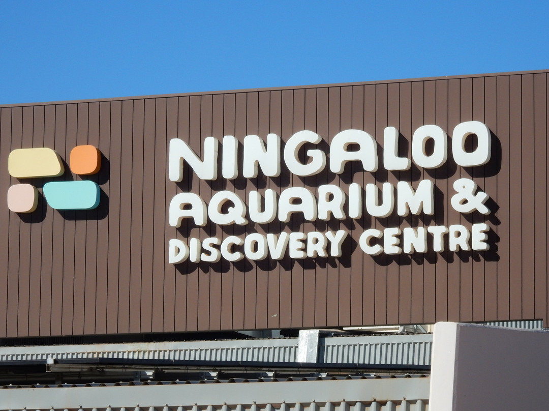 Ningaloo Aquarium & Discovery Centre-埃克斯茅斯必去景点
