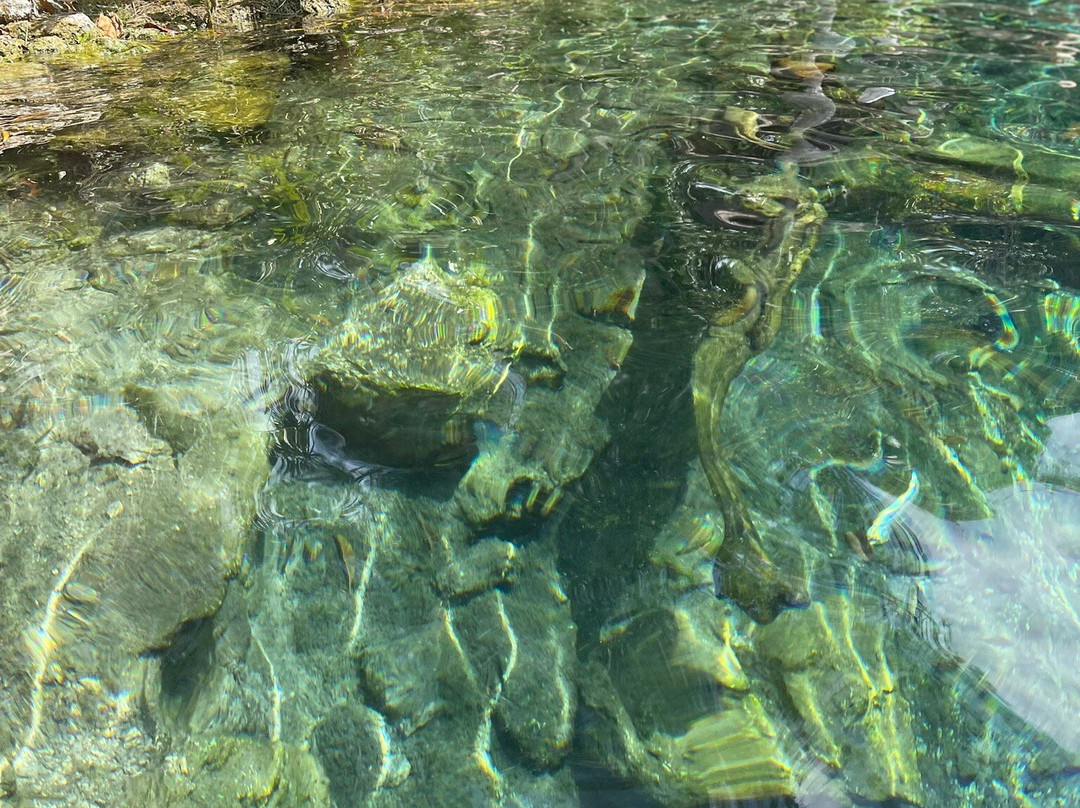 Cenote Corazon Del Paraiso-图伦必去景点
