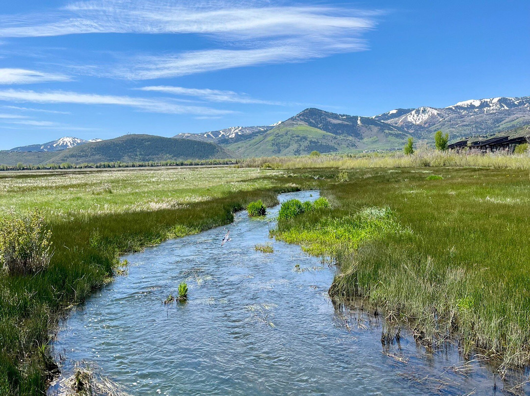 Swaner Preserve and EcoCenter景点图片