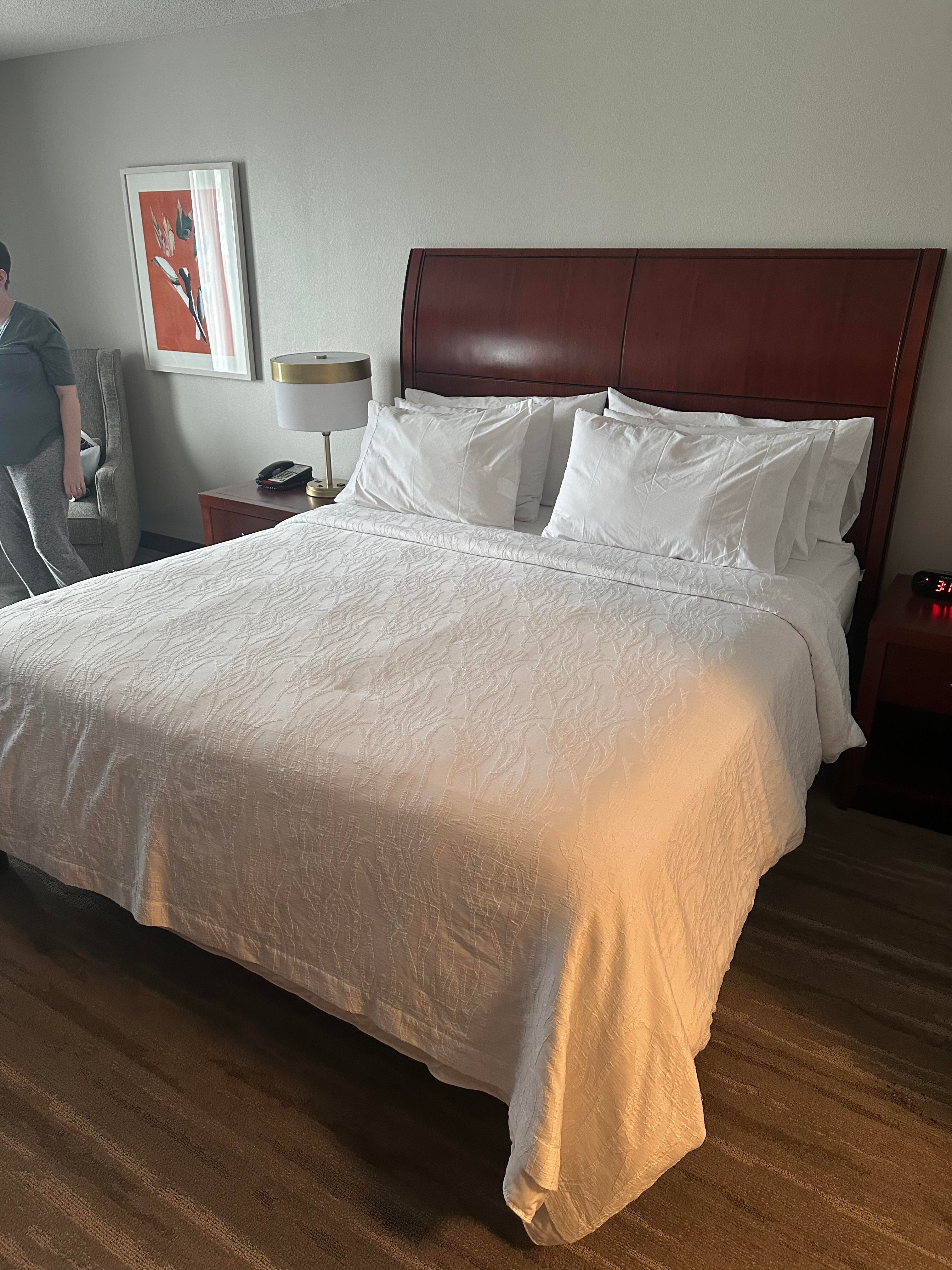 迈尔斯堡机场/FGCU希尔顿花园酒店-客卧