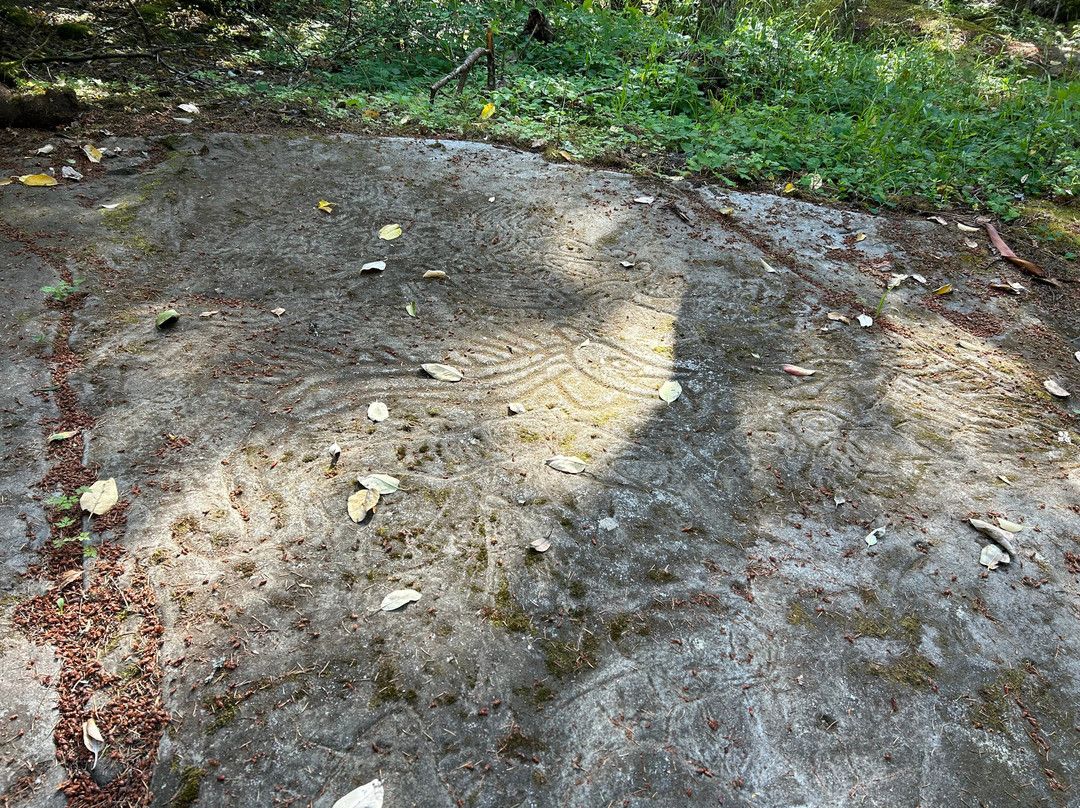 Petroglyph Provincial Park-纳奈莫必去景点