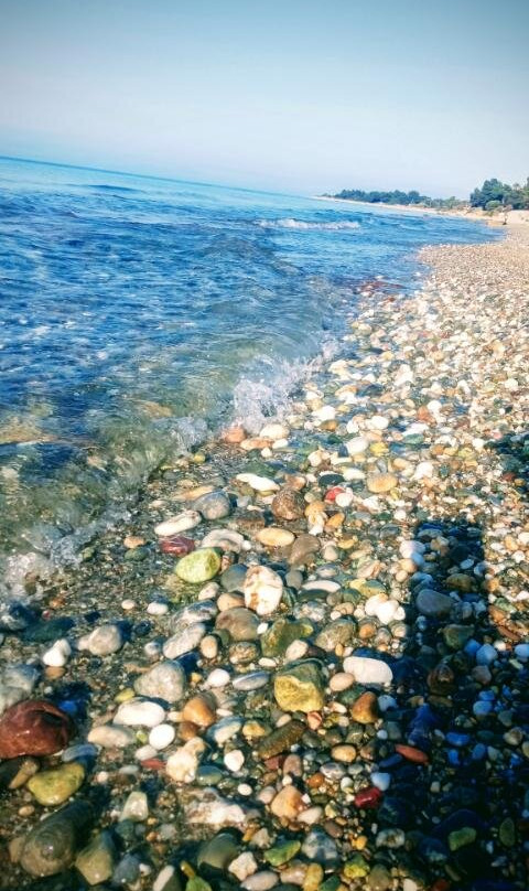 Xenios Dolphin Beach Hotel主图