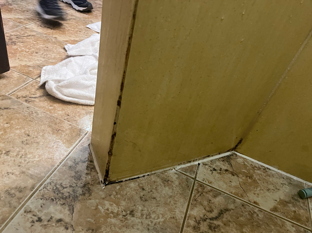 Best Western Orange Inn & Suites主图