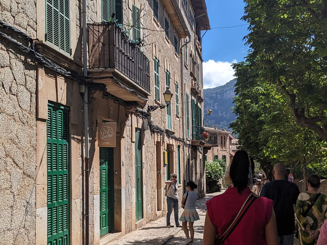 VIP  Malaga Tours-马拉加必去景点