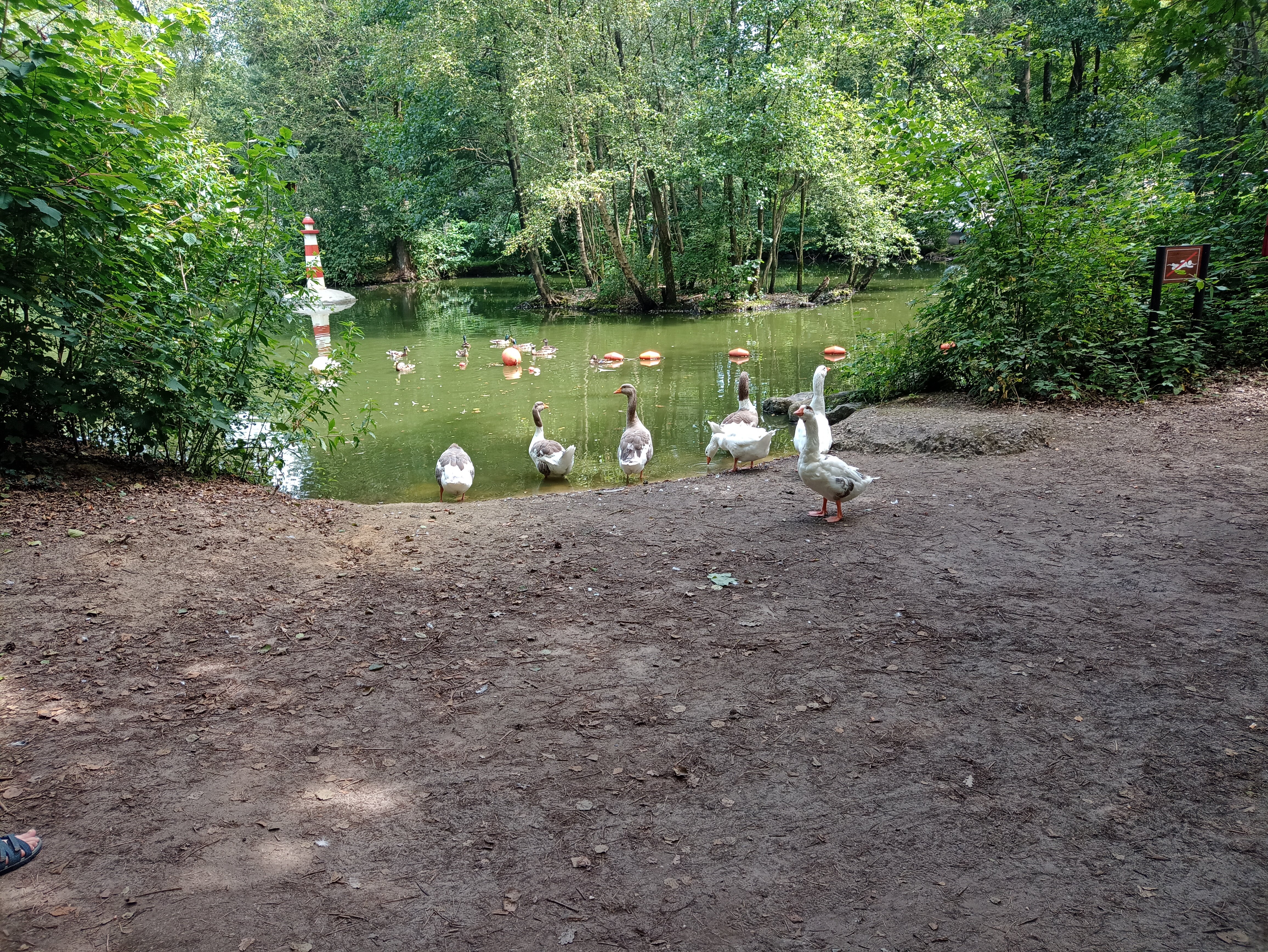 Center Parcs Erperheide-浴室