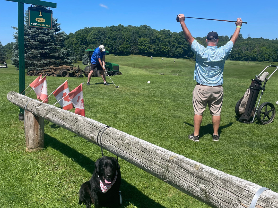 Bracebridge Golf Club景点图片