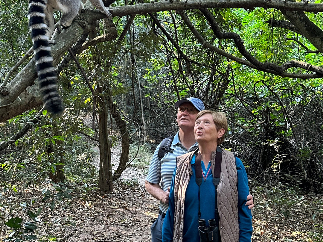 The Hidden Forest Wildlife Sanctuary-巴利托必去景点