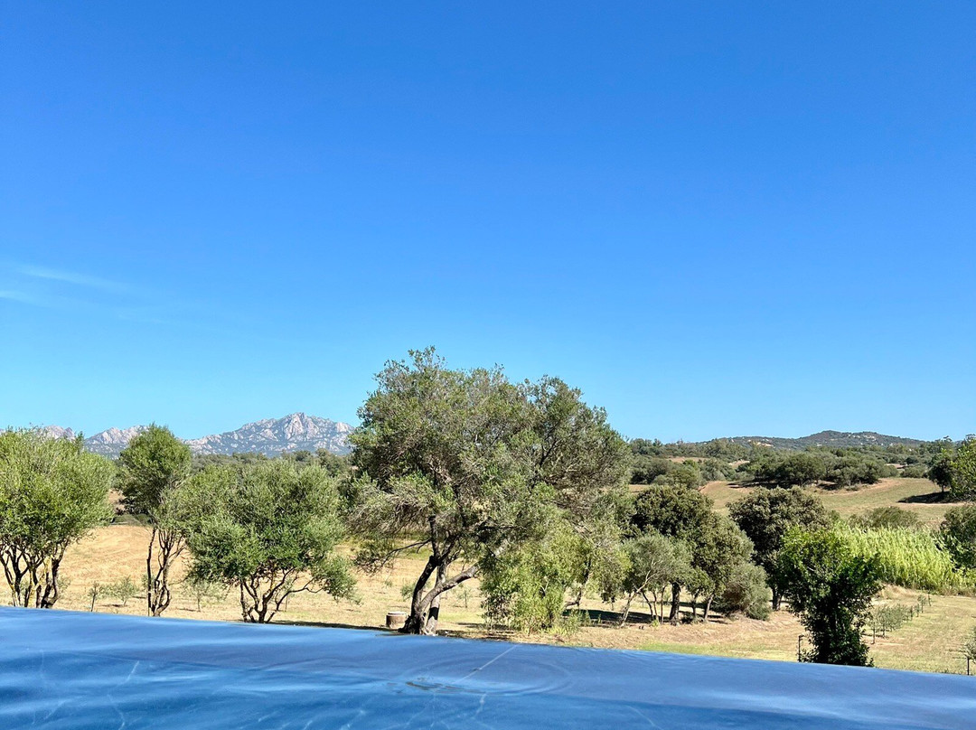 Sant'Antonio di Gallura酒店住宿-B & B Uddastri Retreat