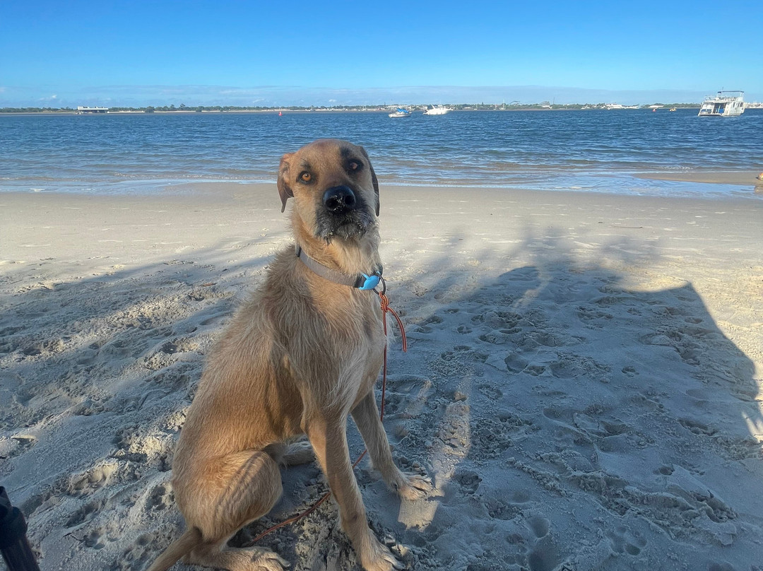 Jadran Motel & El Jay Holiday Lodge主图