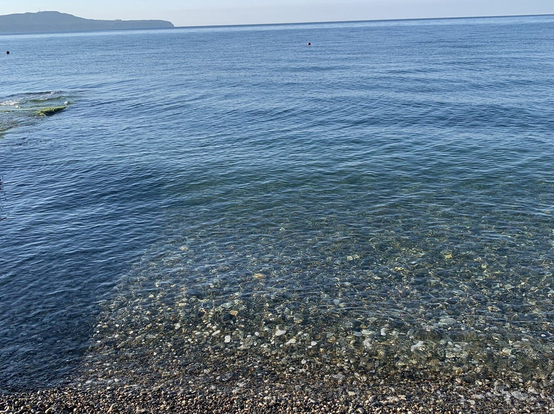 Belaya Rus Health Resort主图