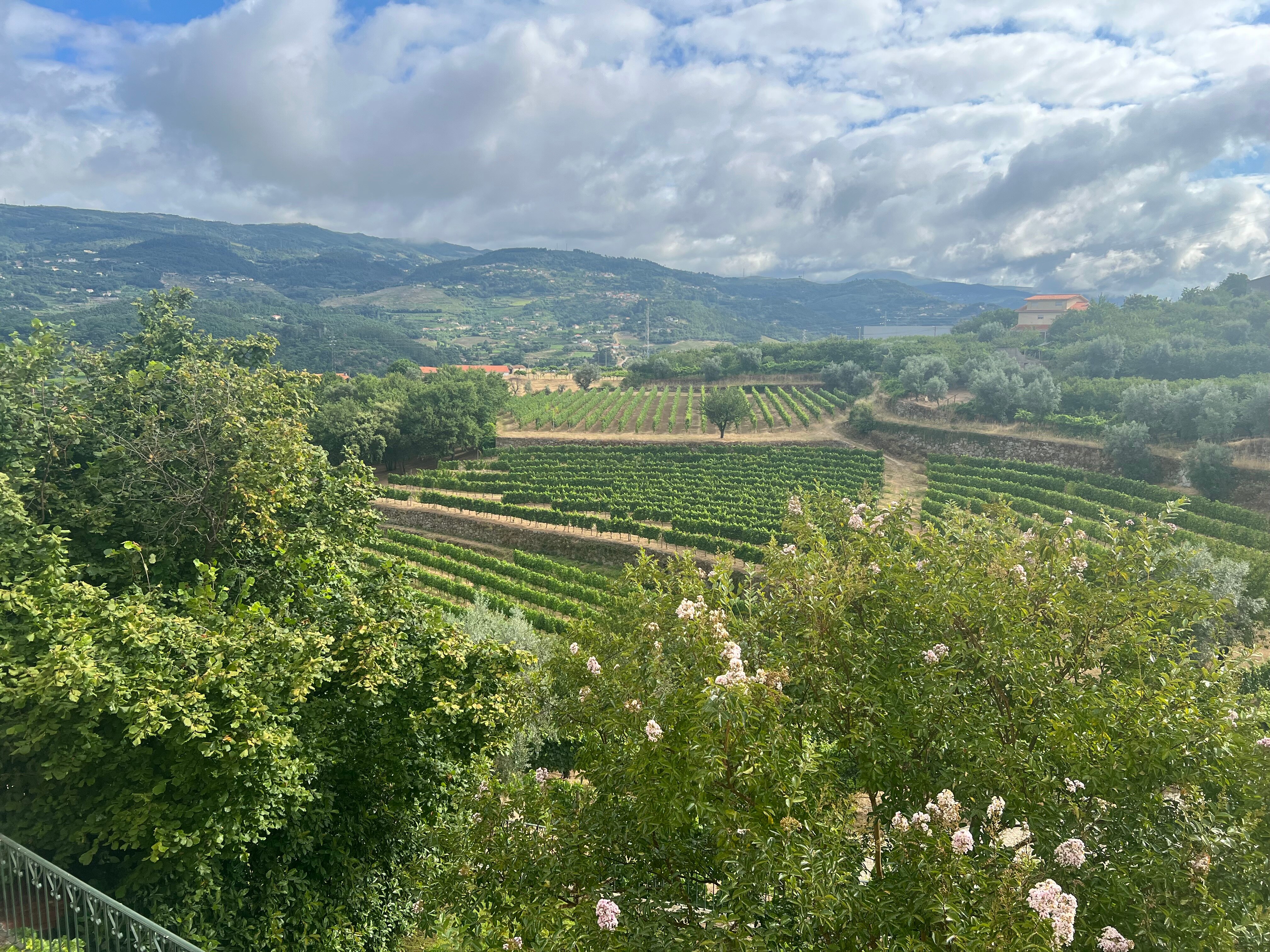 Quinta do Outeiro-浴室