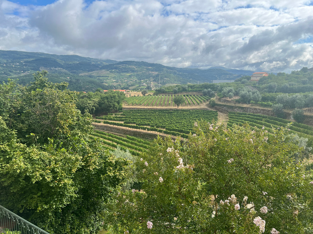 Quinta do Outeiro主图