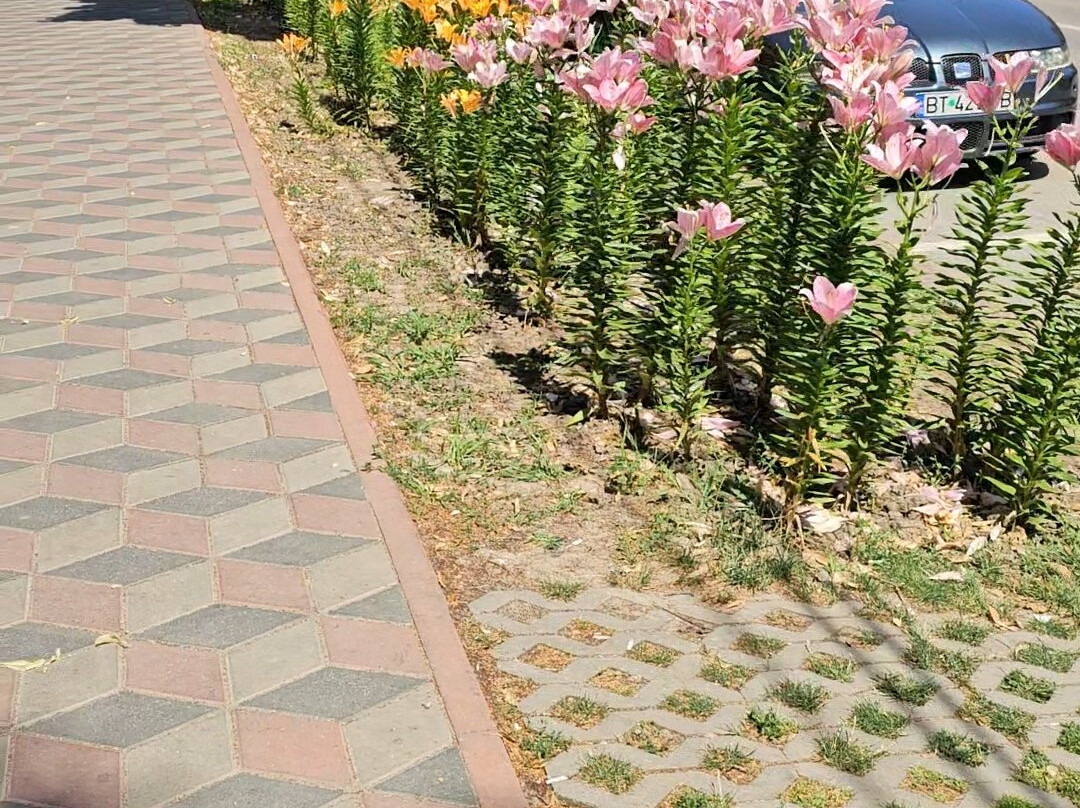 丽城酒店主图
